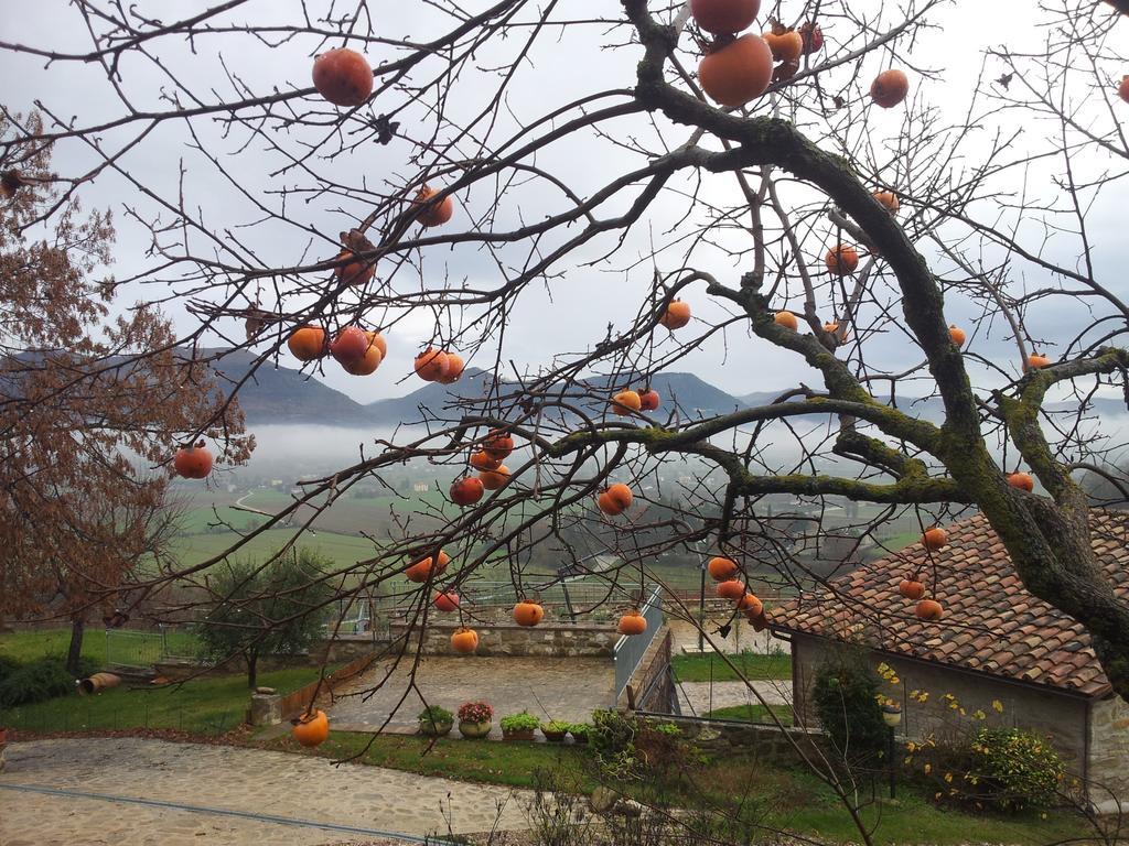 Fonte Chiara Villa Gubbio Dış mekan fotoğraf